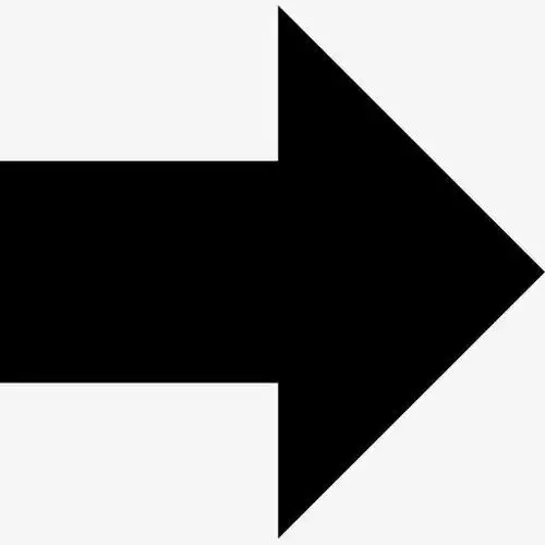 向右箭头标志图标