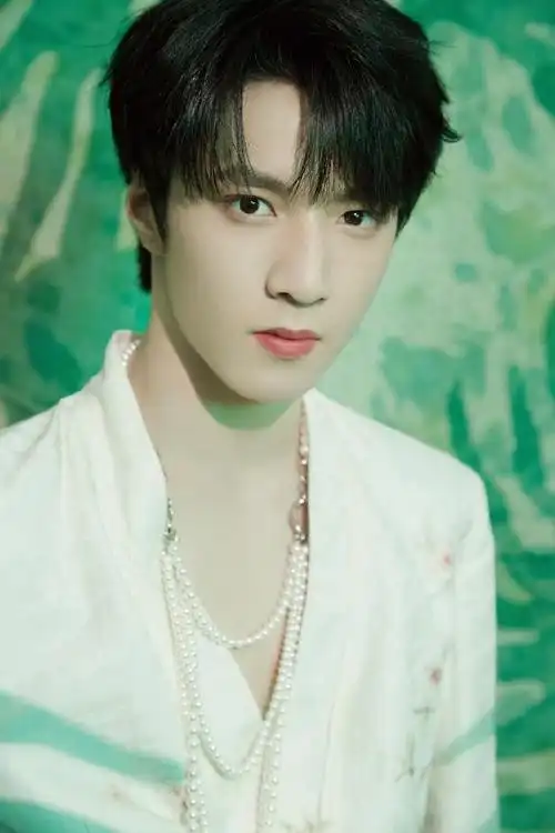 刘耀文唱跳ace#火力全开 pb完整扫图pdf转图片导出 高清单图无水印