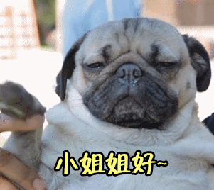 你好gif小姐姐好gif