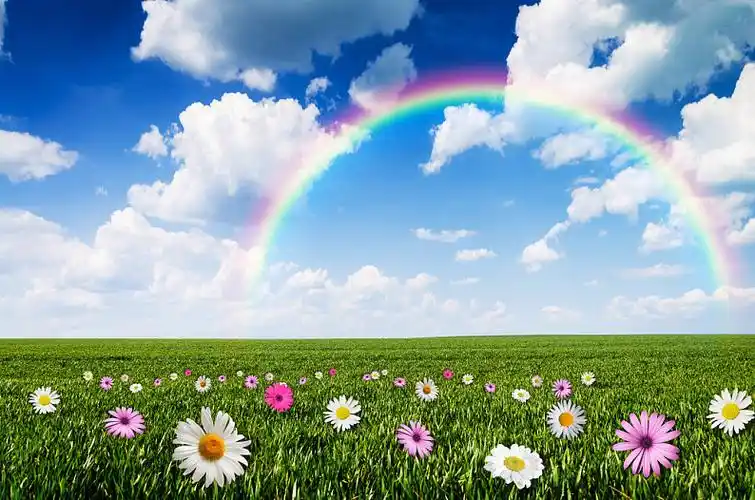 晴天,彩虹,背景,自然_高清图片_全景视觉