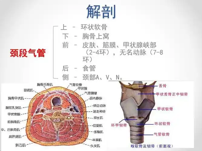 气管切开后护理