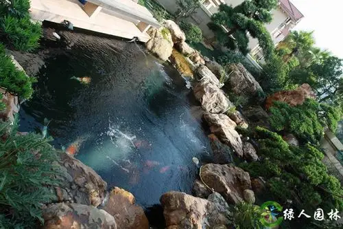 大块黄蜡石鱼池驳岸景观