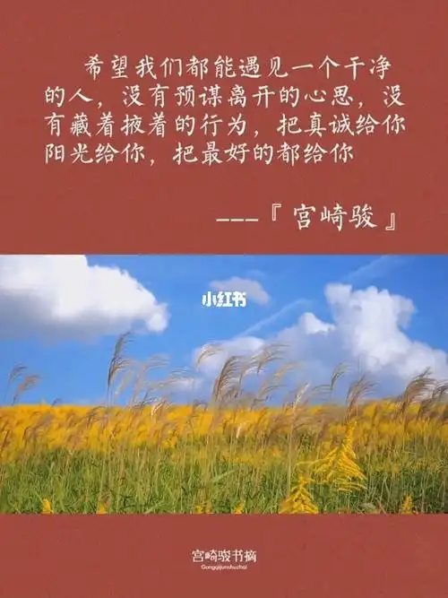 宫崎骏语录  #文案  #情感语录  #情感文案  #每日书摘