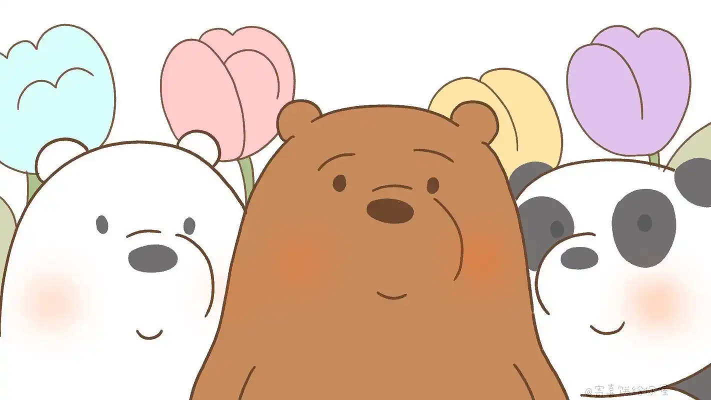 九张裸熊高清电脑壁纸哦