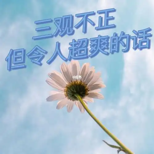 三观不正但令人超爽的话