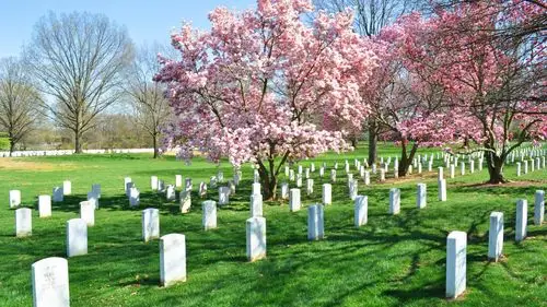寂静的墓地图片-风景壁纸-高清风景图片-娟娟壁纸