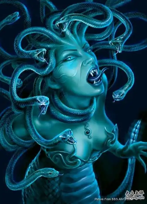 王雪昆采集到蛇