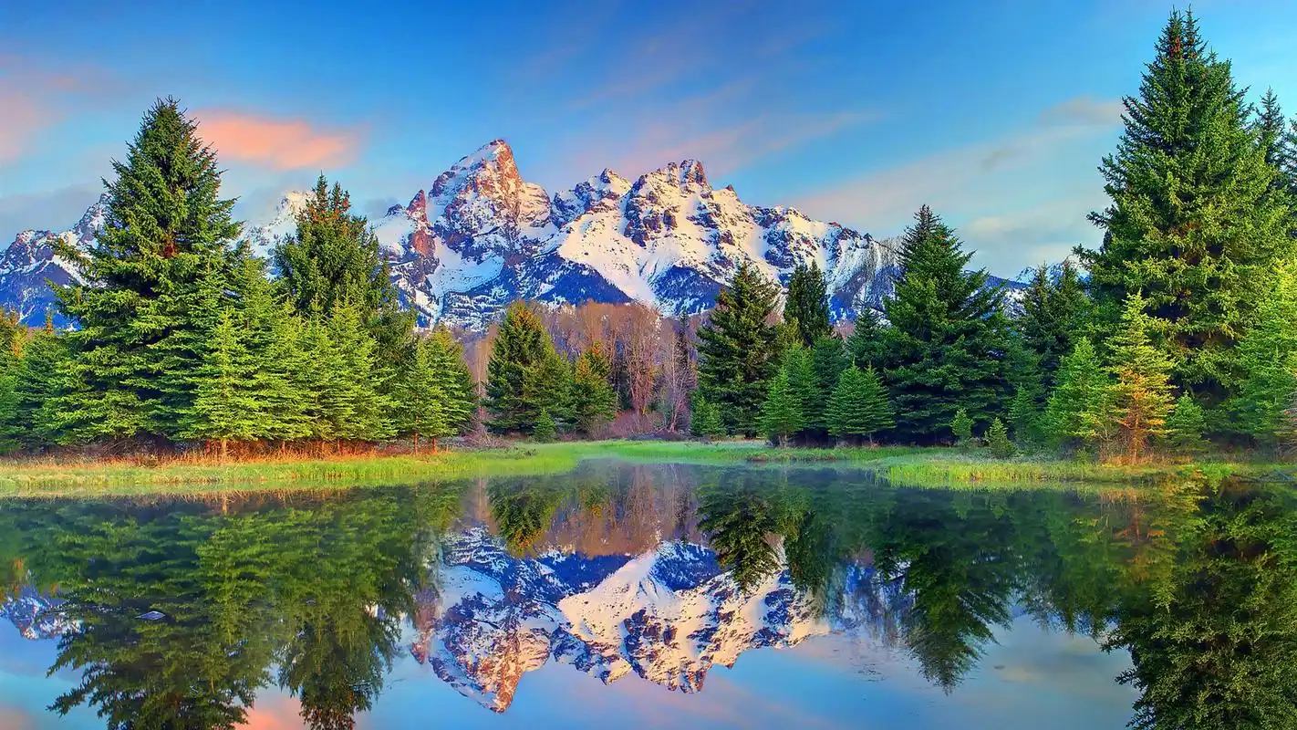 绿色清新护眼自然风景桌面壁纸