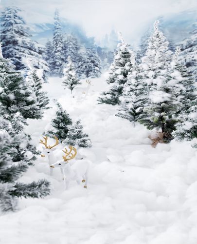 影楼主题背景摄影艺术照相馆拍照冰雪奇缘雪景圣诞节背景布类