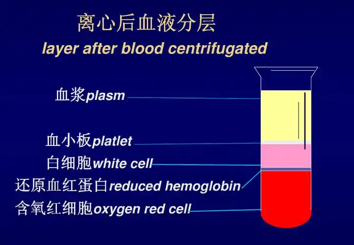 用适当比例的枸橼酸钠抗凝之后离心分离,抗凝剂被分离到哪个层了?