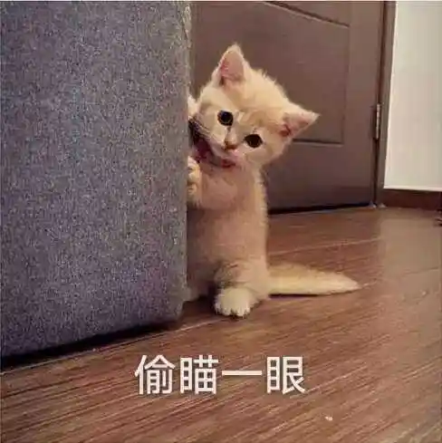 靓仔穿衣服表情包 - 表情图