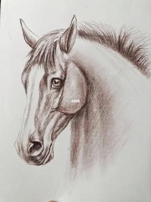 素描马