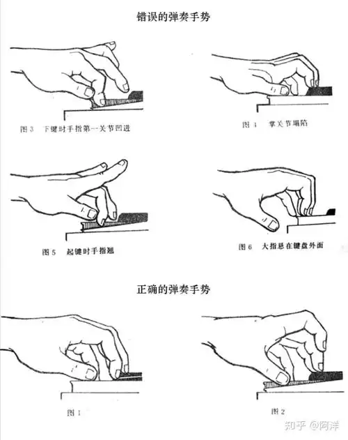 弹琴时手型重要吗