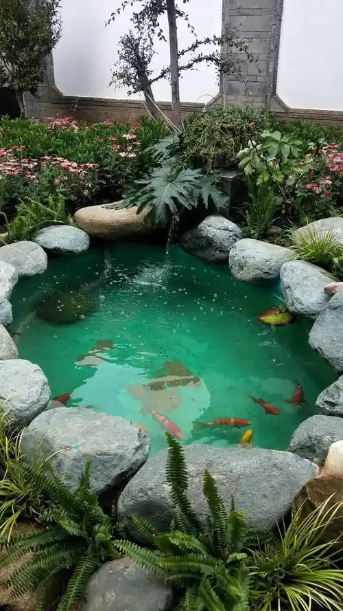 如何选择锦鲤鱼池过滤系统,需要注意以下几大误区_净化_水质_生活