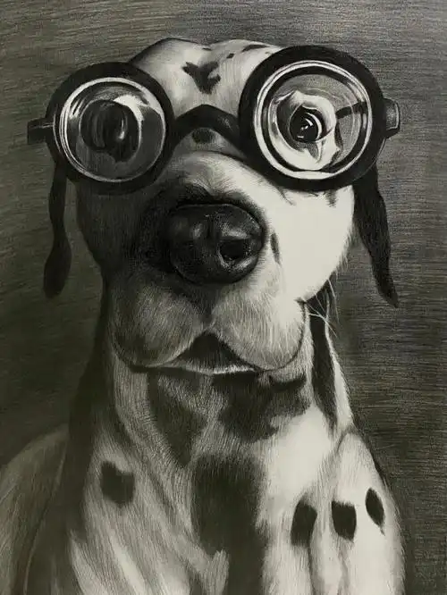 精微素描斑点狗画画眼镜毛发初中生