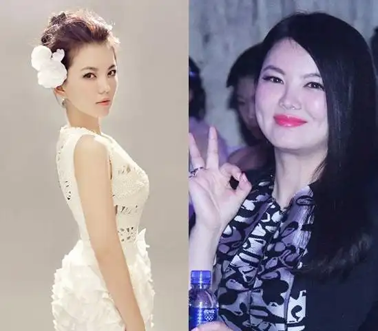 震惊!李湘居然瘦成了小v脸,但网友一句话真相了