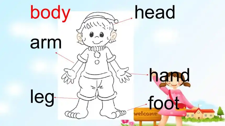 unit3lesson14mybody课件共14张ppt