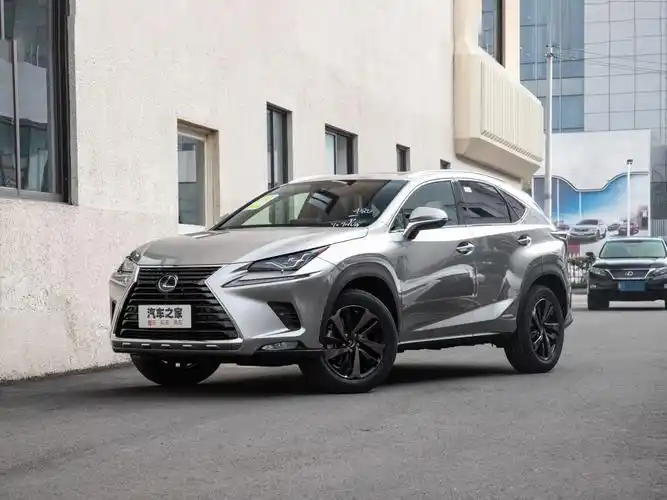 雷克萨斯 雷克萨斯nx 2020款 300h 前驱 锋越版 国vi