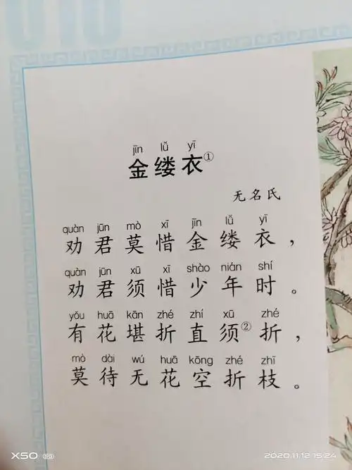 金缕衣
