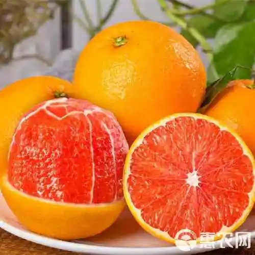 血橙湖北秭归中华红血橙果肉全红汁水充足个头大产地一手货源