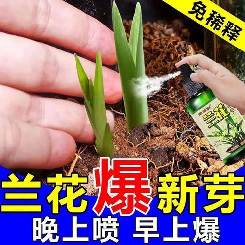 猛爆芽开花】兰花专用营养液烂根空根茎生根催芽催花液体肥免稀释