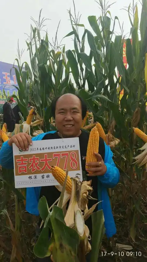 2017玉米谷子观摩会