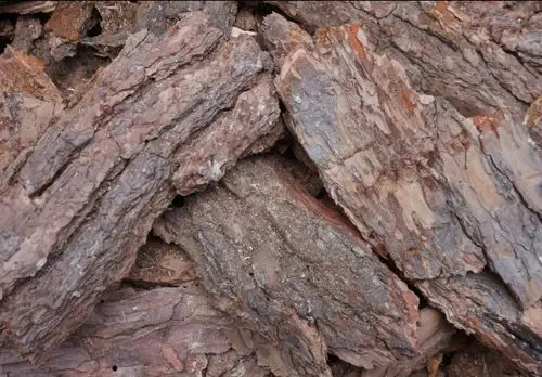 松树皮小号厂家**铁皮石斛种苗蝴蝶兰花草栽培基质