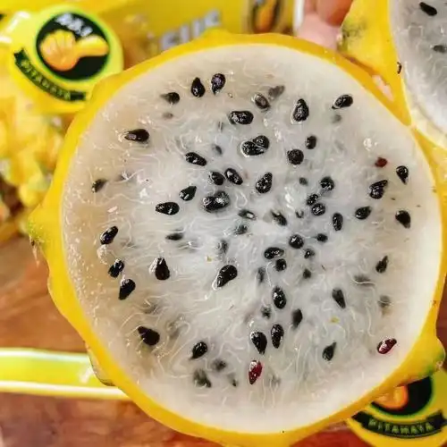 稀缺土豪货麒麟燕窝果