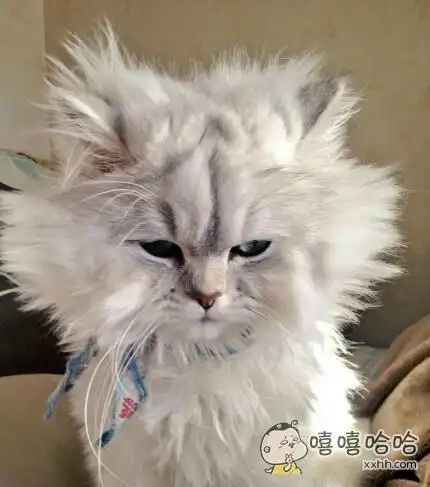 盛大网上娱乐投注