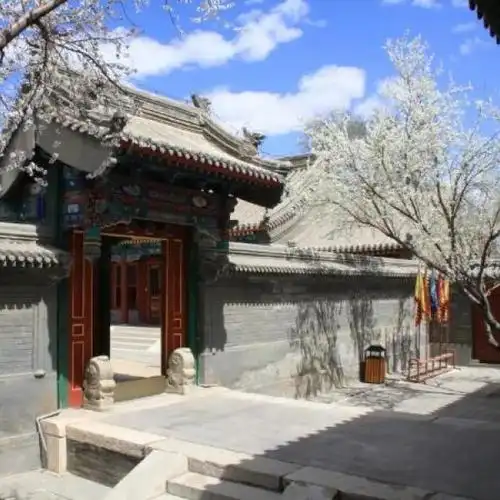 虽然还属于农历早春二月,但呼和浩特公主府公园内的桃花竞相开放