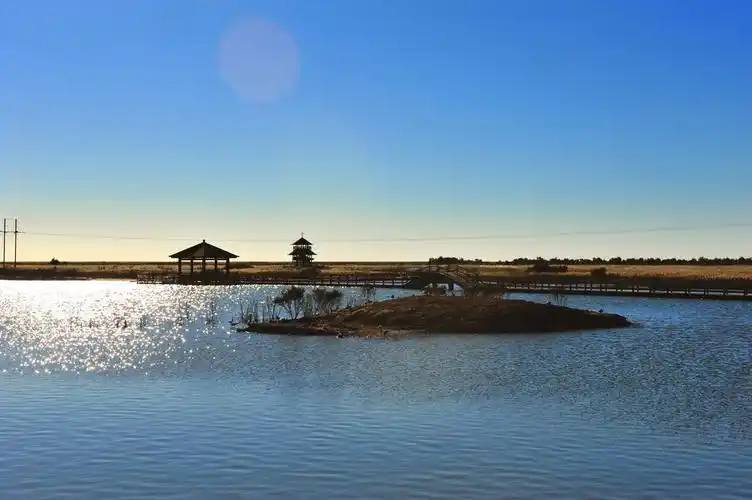 湿地风光——山东东营黄河口国家级生态旅游区拍摄
