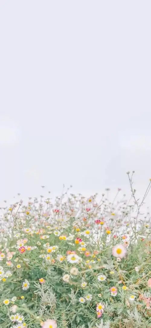 手机壁纸|淡蓝色系|小清新|唯美