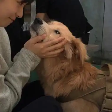 对象是狗的情侣头像高清可爱女孩和狗情头一左一右图片