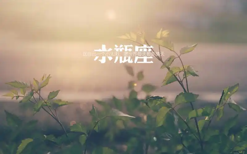 水瓶座清新图片宽屏壁纸唯美图片创意设计创意文字小清新水瓶座星座