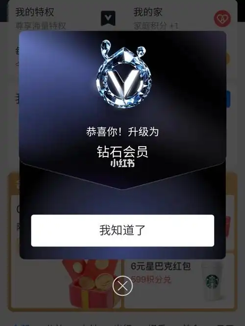 支付宝钻石会员