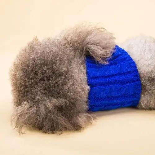 毛线围脖狗狗围巾泰迪比熊博美幼犬小型犬三角巾围嘴领巾宠物饰品