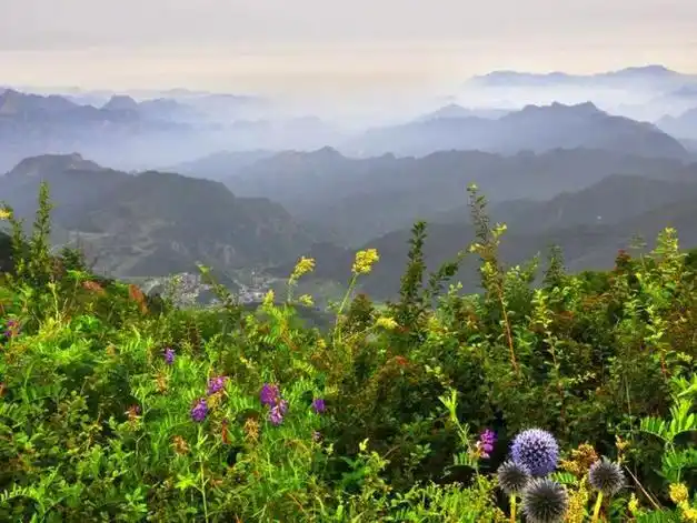 京西百花山风景名胜区4月28日开园