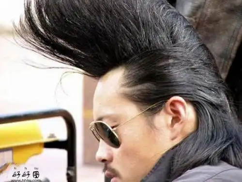 谁有公鸡头发型的图片?