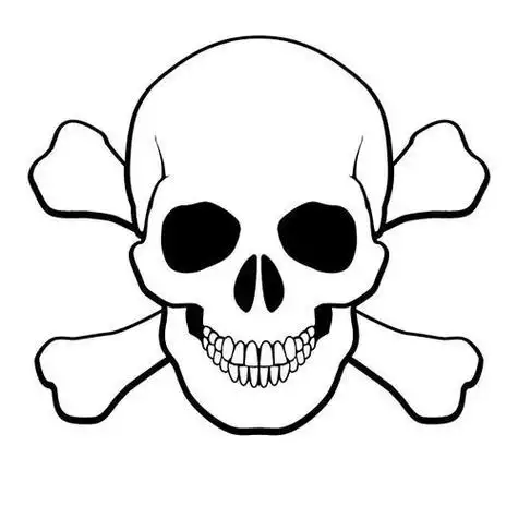 骷髅头的简笔画代表正义的简笔画