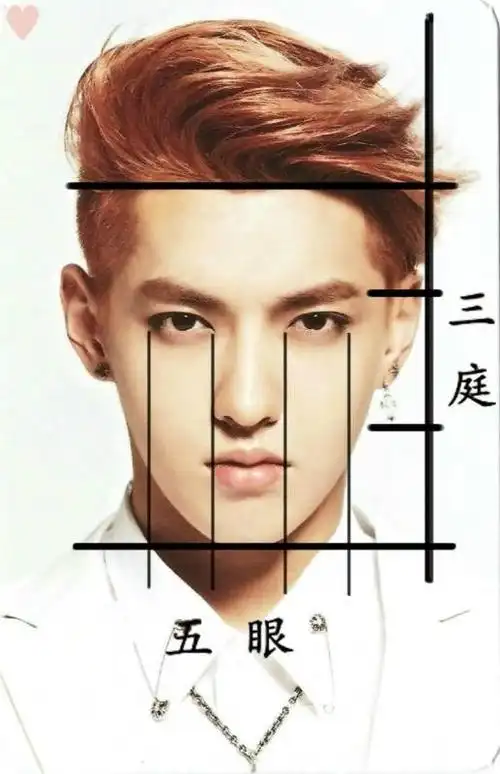 黄金比例脸测试计算 黄金比例脸测试在线-图片大观-奇异网