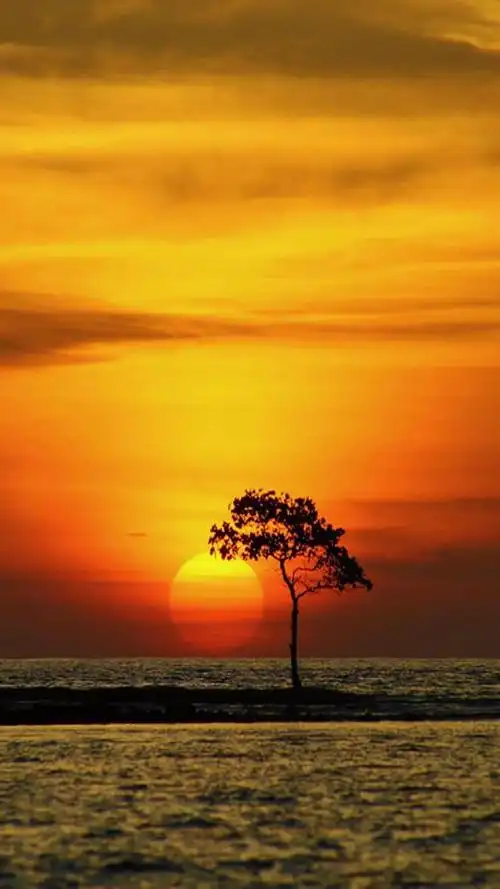 设置方法如下:1,首先将自己喜欢的背景图片保存到相册;2,然后打开微信