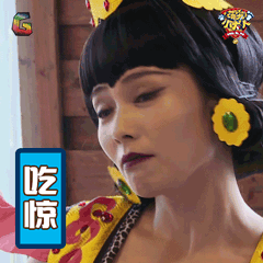 萌宠小大人刘涛吃惊soogifsoogif出品gif动图_动态图_表情包下载_soo