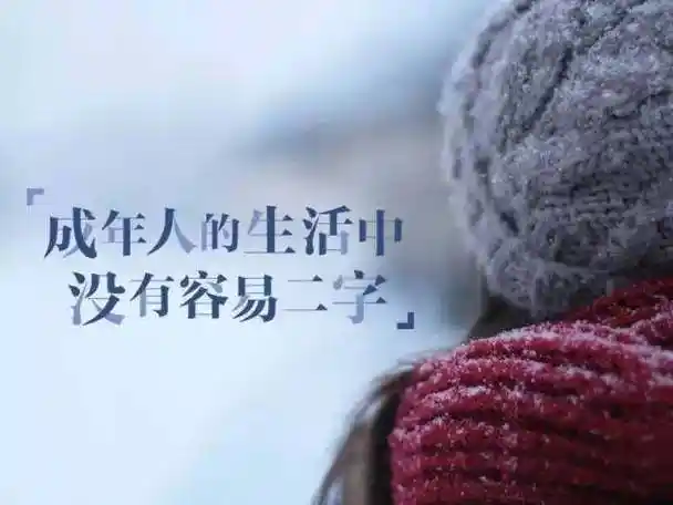 18句生活感悟说说心情短语,句句透彻现实,看完会明白很多