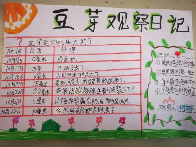 四4班豆芽成长日记