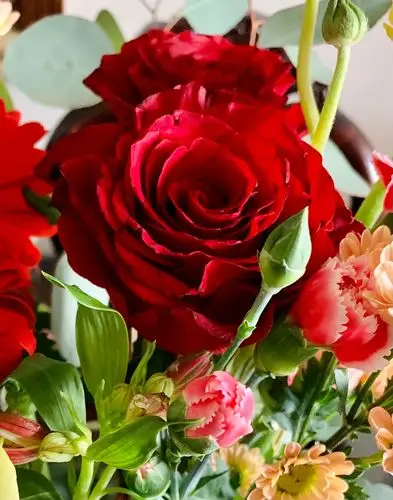 玫瑰花情人节快乐