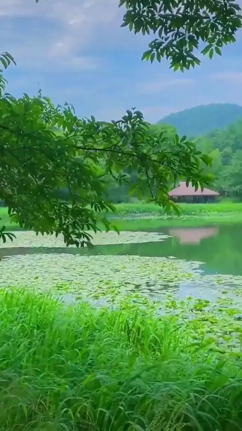 六月你好,开启好运;看淡得失,珍惜拥有.#自然风景