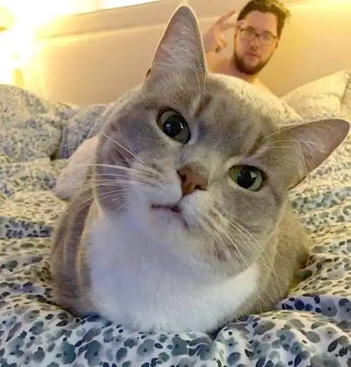 猫咔噗-顶级动漫素材站! 《暖心图片集》你～累了吗?