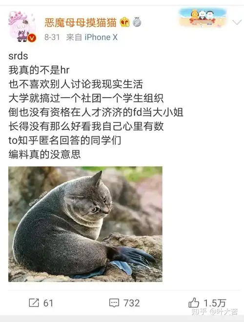 母哥和老番茄同居了吗