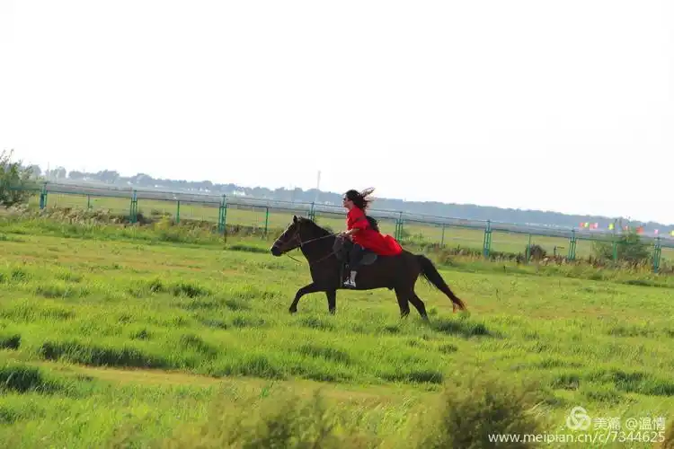 爱上草原,恋上草原.