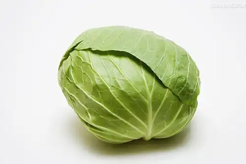 农聚源卷心菜2斤包菜新鲜蔬菜as